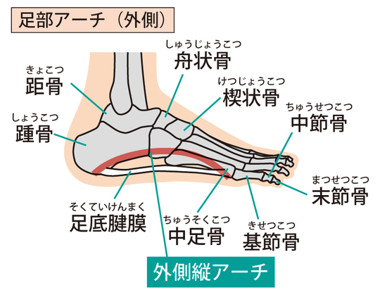 足裏バランス改善 - 川崎区の専門整体（腰痛・脊柱管狭窄症・ぎっくり腰）森こう整骨院